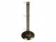 Ventil motorja sesalni STD IMT 577; TAM 75,80 MOTOR IMR S44 (01010)
